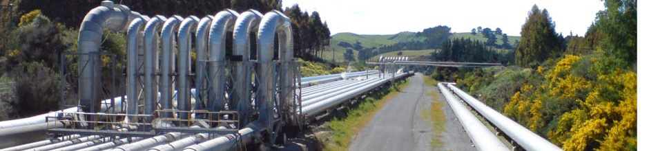 environmental sector header
