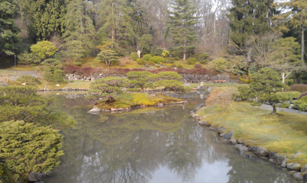 view of north pond after treatment