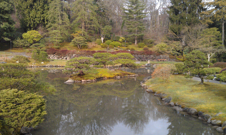 expanded view of north pond, after treatment
