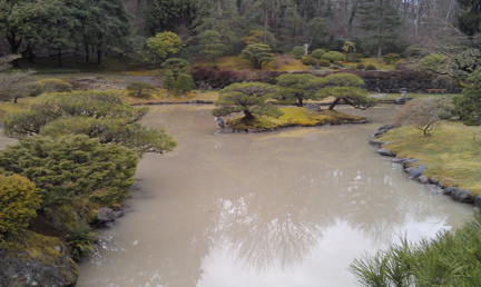 view of north pond before treatment