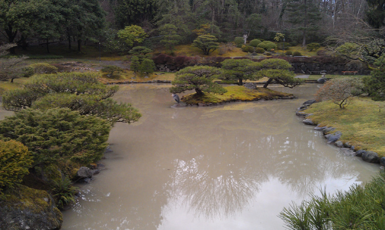 expanded view of north pond, before treatment