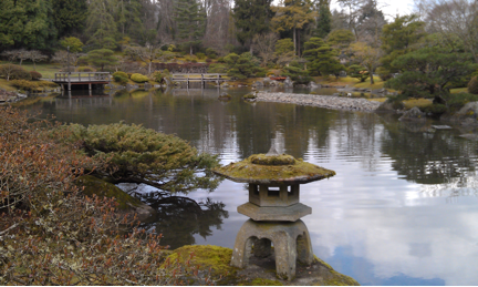 view of south pond after treatment