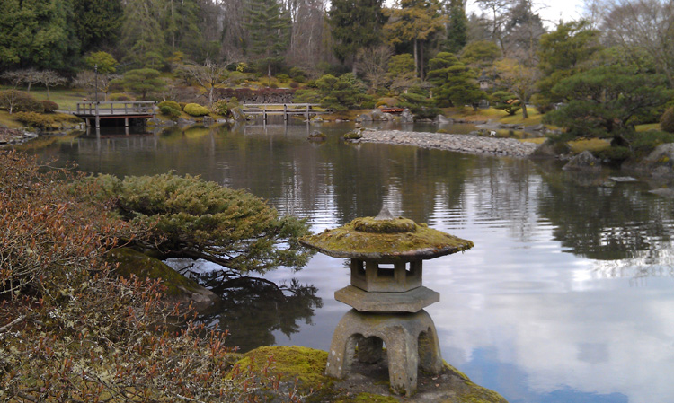 expanded view of south pond, after treatment