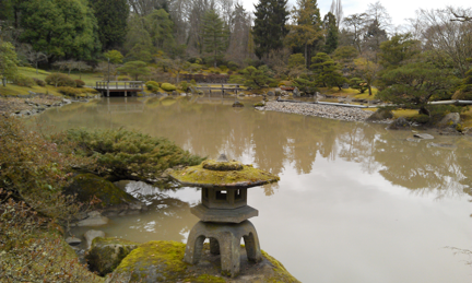 view of south pond before treatment