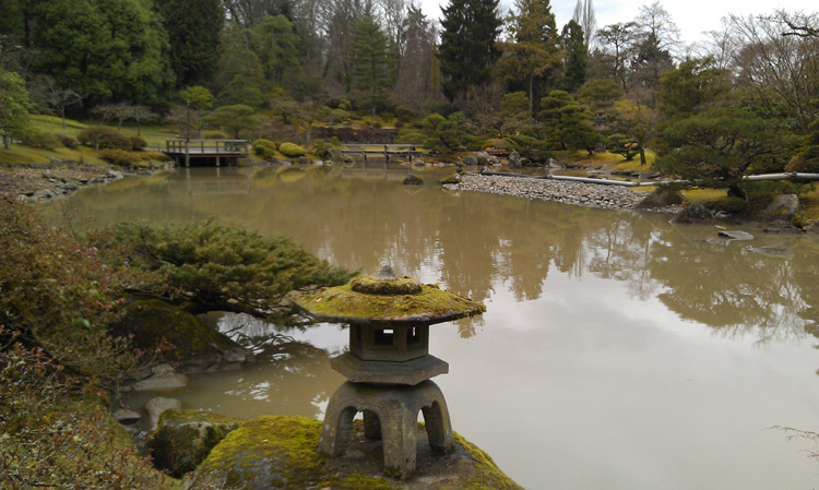 expanded view of south pond, before treatment